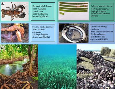 Pathogen Filtration: An Untapped Ecosystem Service